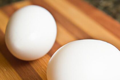 The Magic of the Yule Log: Tradition, Taste, and Timeless Joy