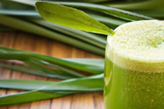 Wheatgrass Juice Wonders: Nature’s Green Health Elixir