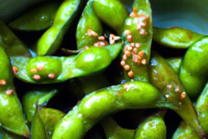 Crunchy Roasted Edamame with Sea Salt: A Healthy Snack Delight